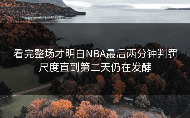 看完整场才明白NBA最后两分钟判罚尺度直到第二天仍在发酵