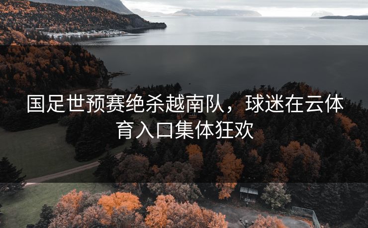 国足世预赛绝杀越南队,球迷在云体育入口集体狂欢 国足世预赛绝杀越南队,球迷在云体育入口集体狂欢