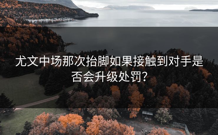 尤文中场那次抬脚如果接触到对手是否会升级处罚？